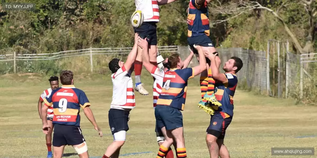 📺高清直播，一键开启你的专属观赛盛宴！